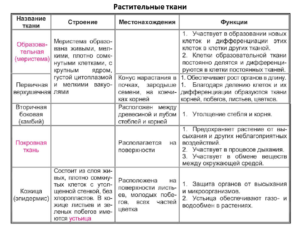 Сравнительная таблица по биологии Ткани растений