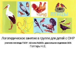 Конспект открытого логопедического занятия для подготовительной к школе группы на тему: Домашние птицы