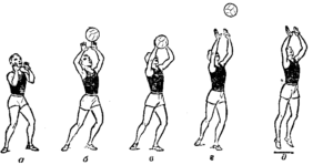 Передача мяча двумя руками сверху и снизу в волейболе