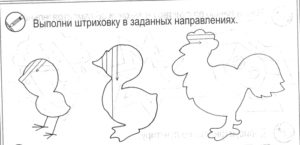 Конспект открытого логопедического занятия для подготовительной к школе группы на тему: Домашние птицы
