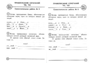 Самостоятельные работы по русскому языку (2 класс)