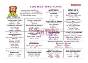 Таблица орфограмм начального курса русского языка.