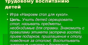 Дидактические игры по трудовому воспитанию