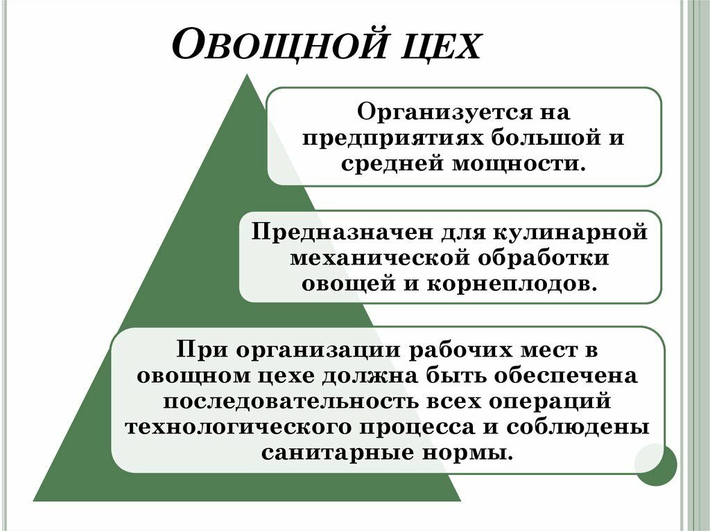 Организация работы овощного цеха