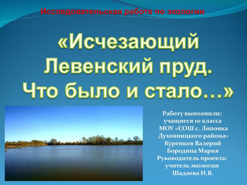 Исследовательская работа по экологии для 10 класса