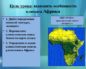 Конспект урока по географии Климат Африки (7 класс)