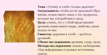 Исследовательская работа Почему в хлебе столько дырочек?