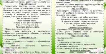 Конспект проведения весенней прогулки в подготовительной группе