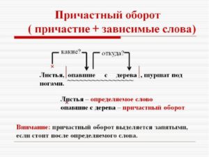 Конспект урока по теме  Причастный оборот (7 класс)