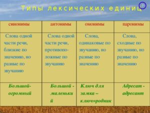 План -конспект урока русского языка в 10 классе(базовый уровень) по теме Синонимы.Антонимы.Омонимы.Паронимы