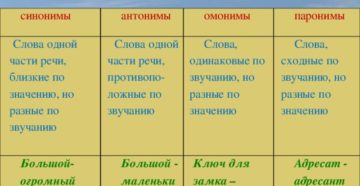 План -конспект урока русского языка в 10 классе(базовый уровень) по теме Синонимы.Антонимы.Омонимы.Паронимы